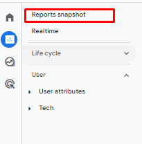 Screenshot of reports snapshot screen in google analytics account